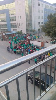 有哪位朋友在深圳工厂上班的介绍一个工作吧,劳务派遣和中介勿扰